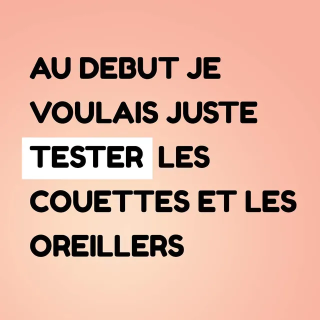 Candidature Loulenn, visuel 6