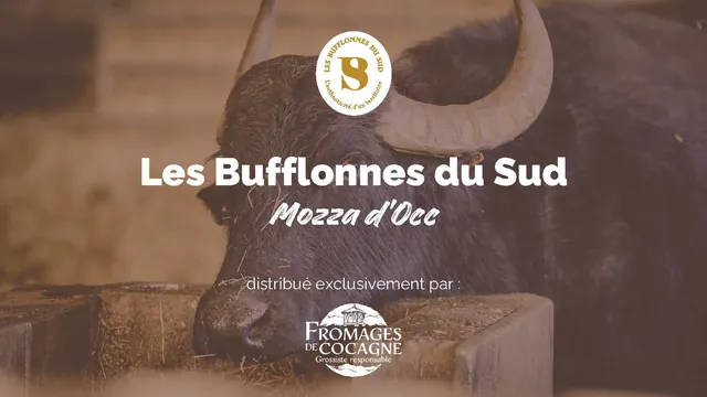 Supports de communication Terroirs Fromagers, visuel 16