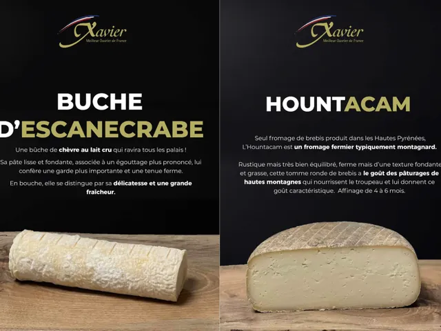 Aperçu du projet Supports de communication Terroirs Fromagers