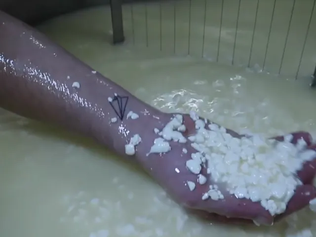 Aperçu du projet Vidéo institutionnelle Fromages de Cocagne